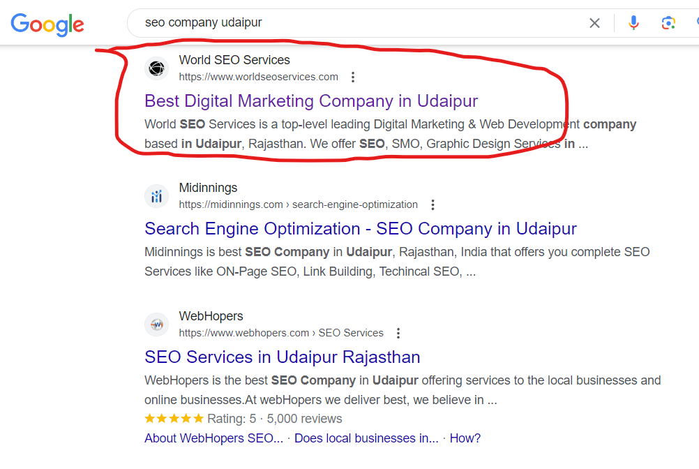 Best SEO Agency in Udaipur